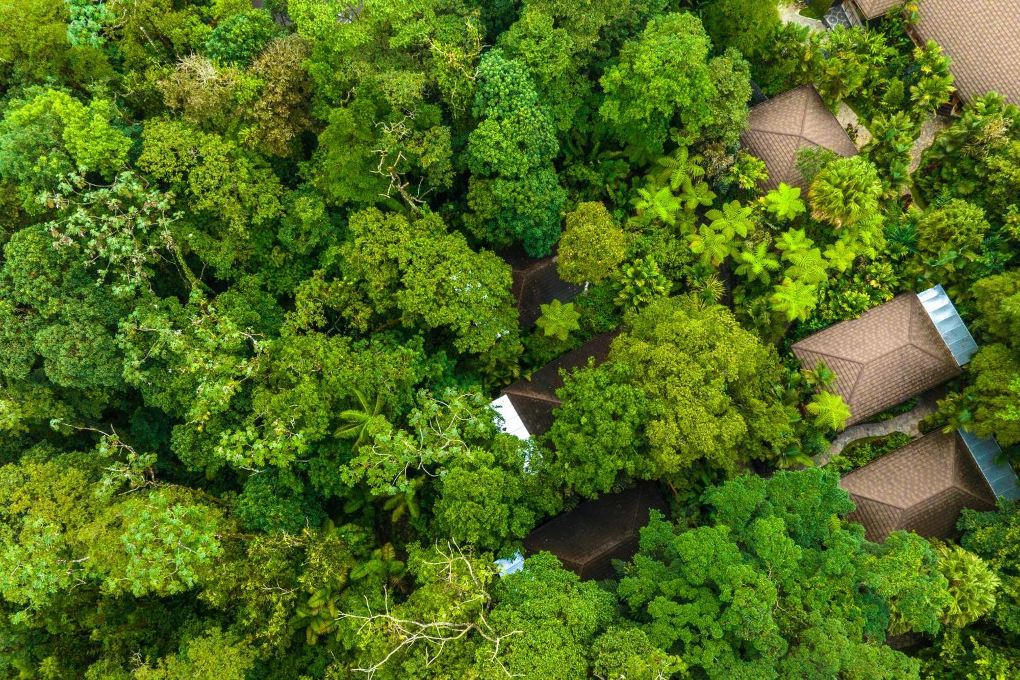 Hideaway Rio Celeste Hotel Bijagua Exterior photo