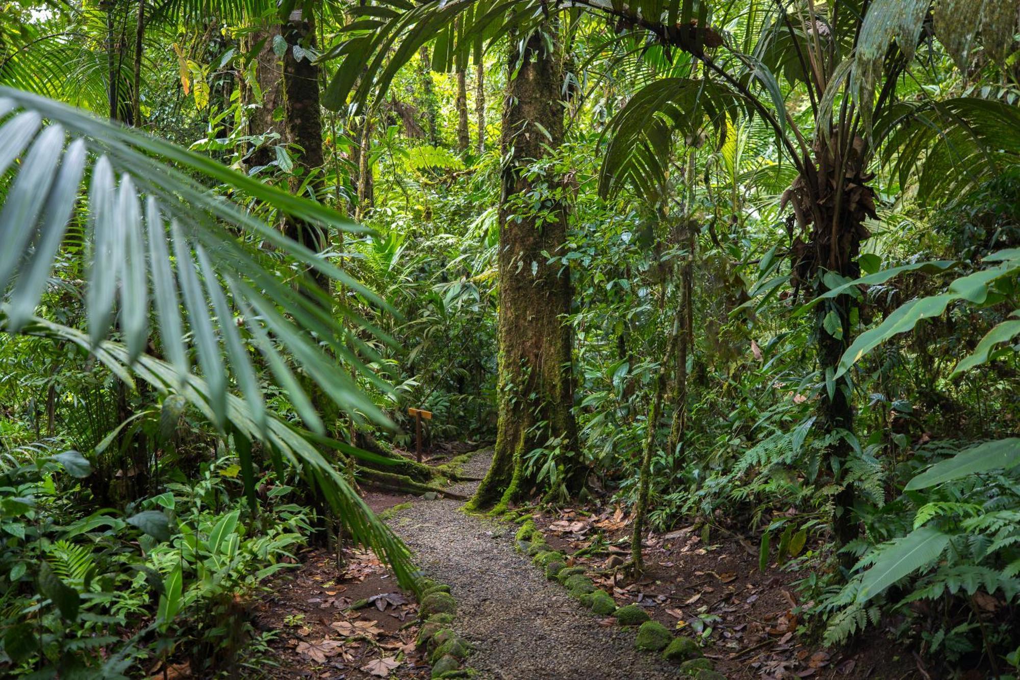 Hideaway Rio Celeste Hotel Bijagua Exterior photo